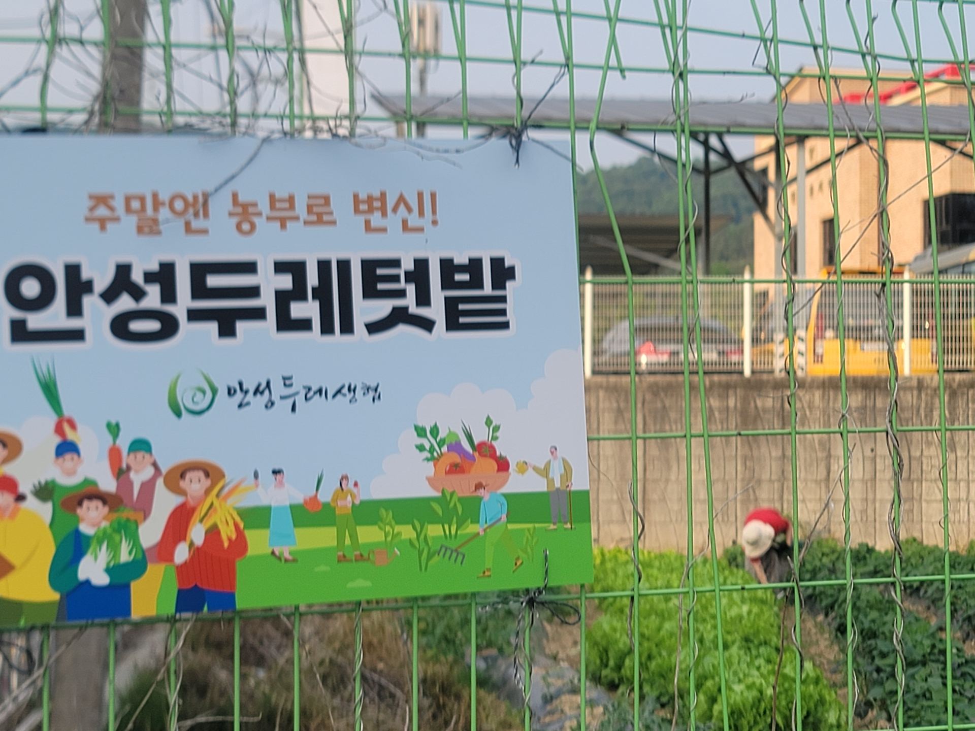 안성두레텃밭 안내판 — 주말엔 농부로 변신